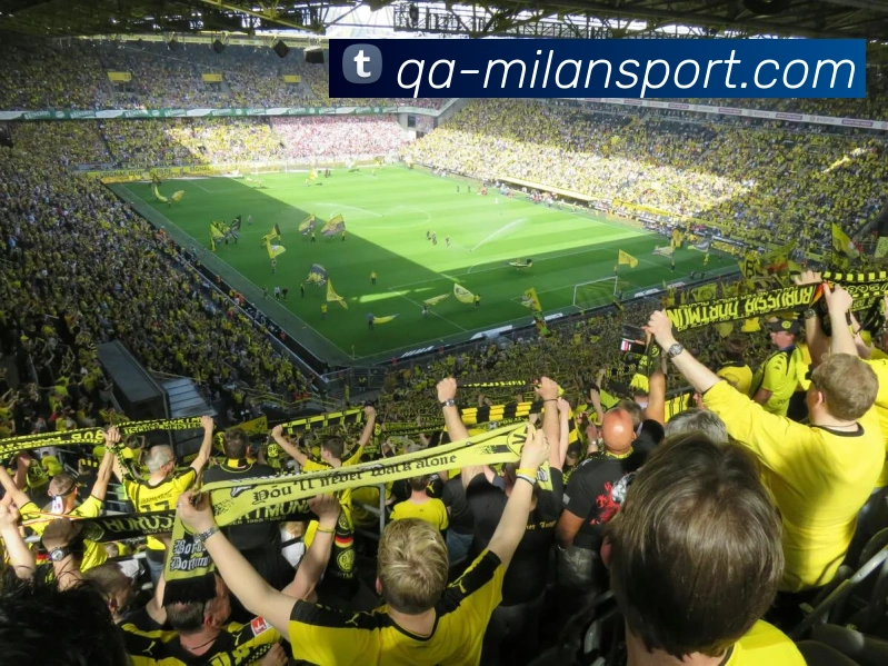 米兰足球服务体系